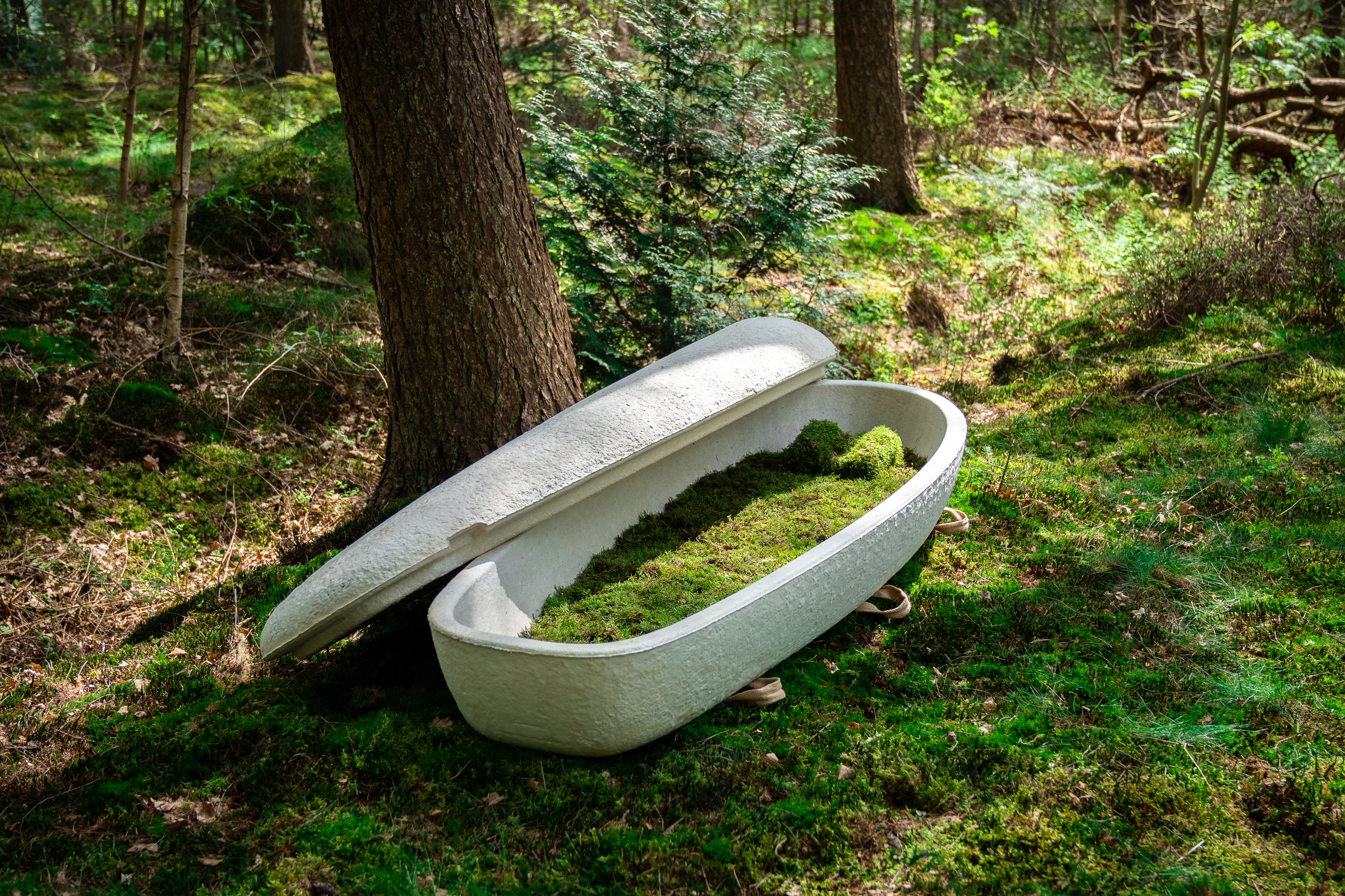 sustainable coffin in the woods