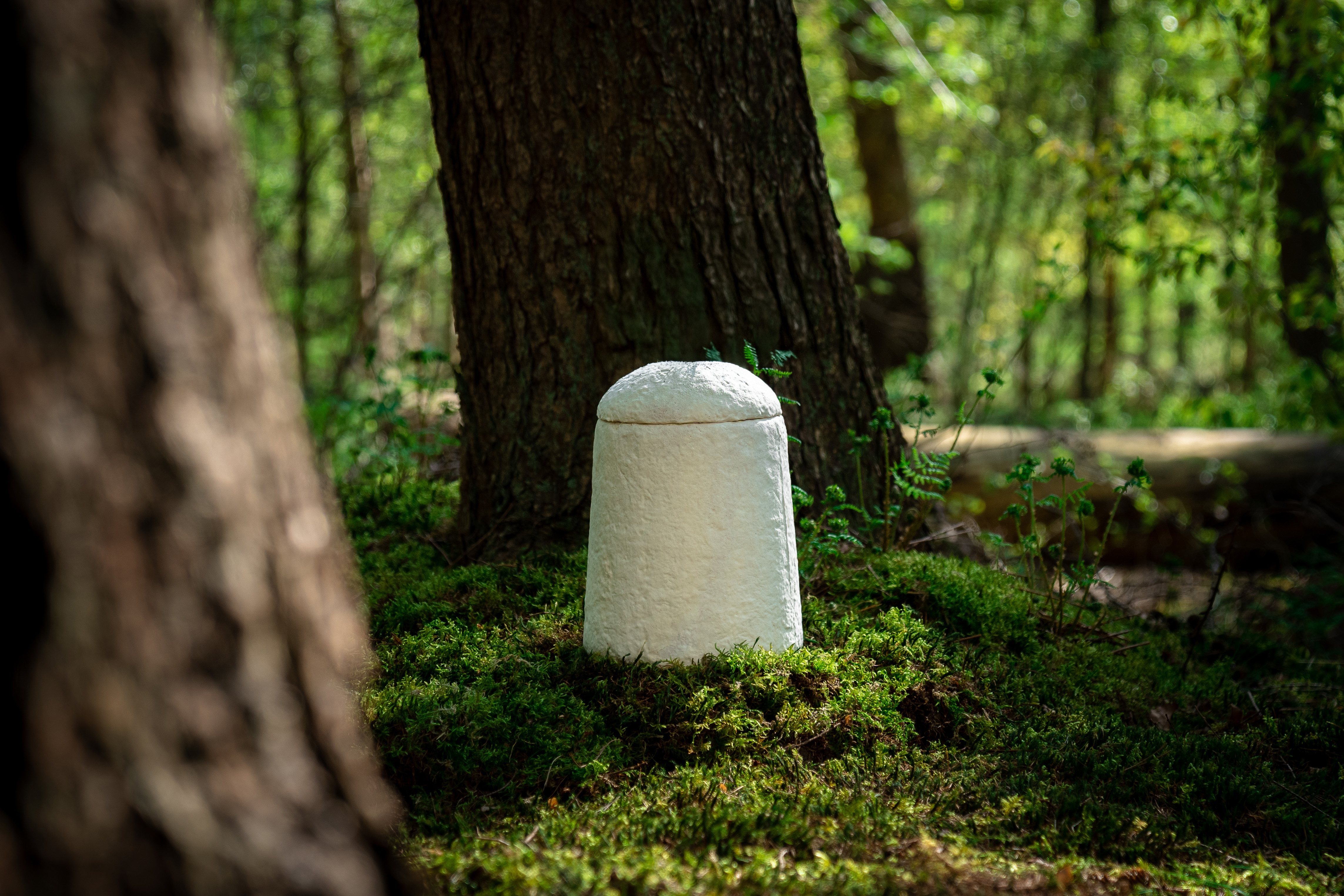 loop cocoon urn in the forest