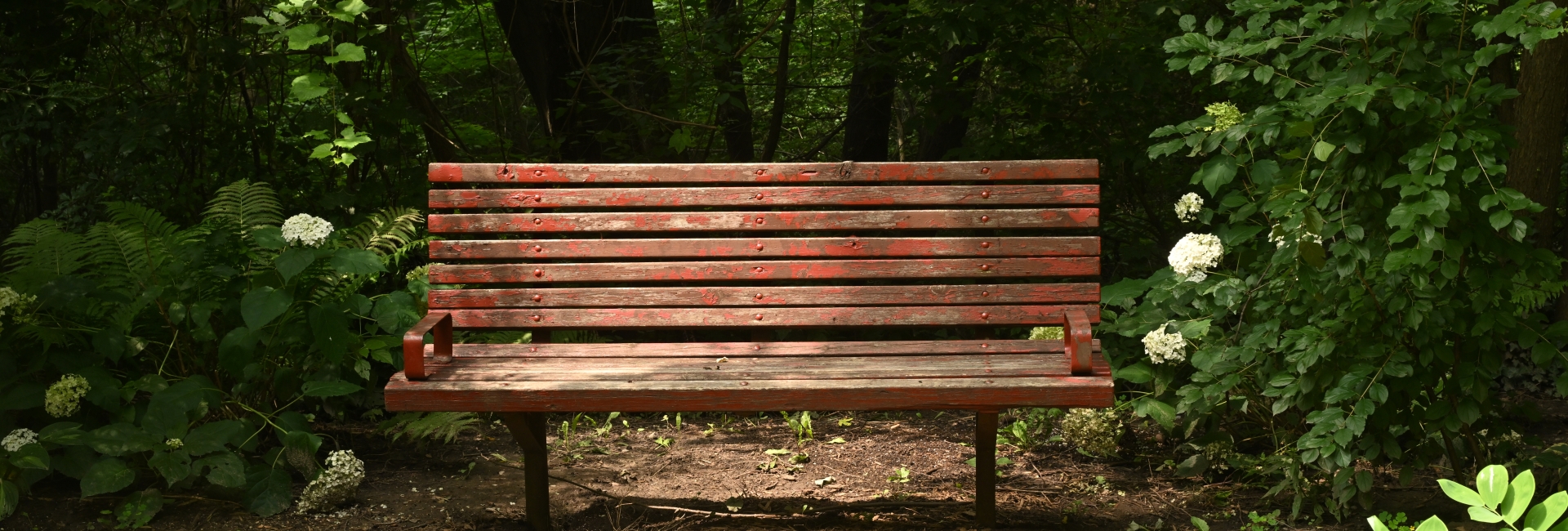 bench