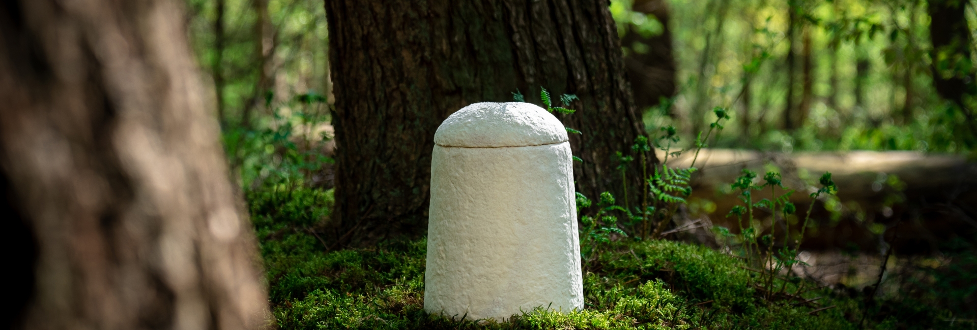 loop cocoon urn in the forest