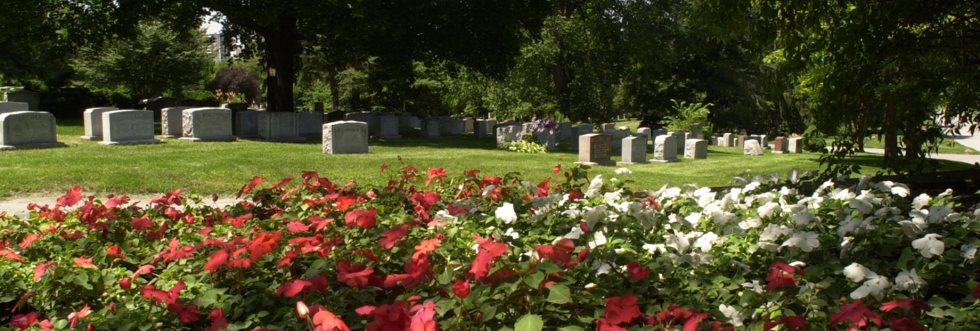 flowers and graves at Prospect Cemetery