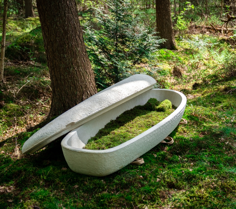 sustainable coffin in the woods