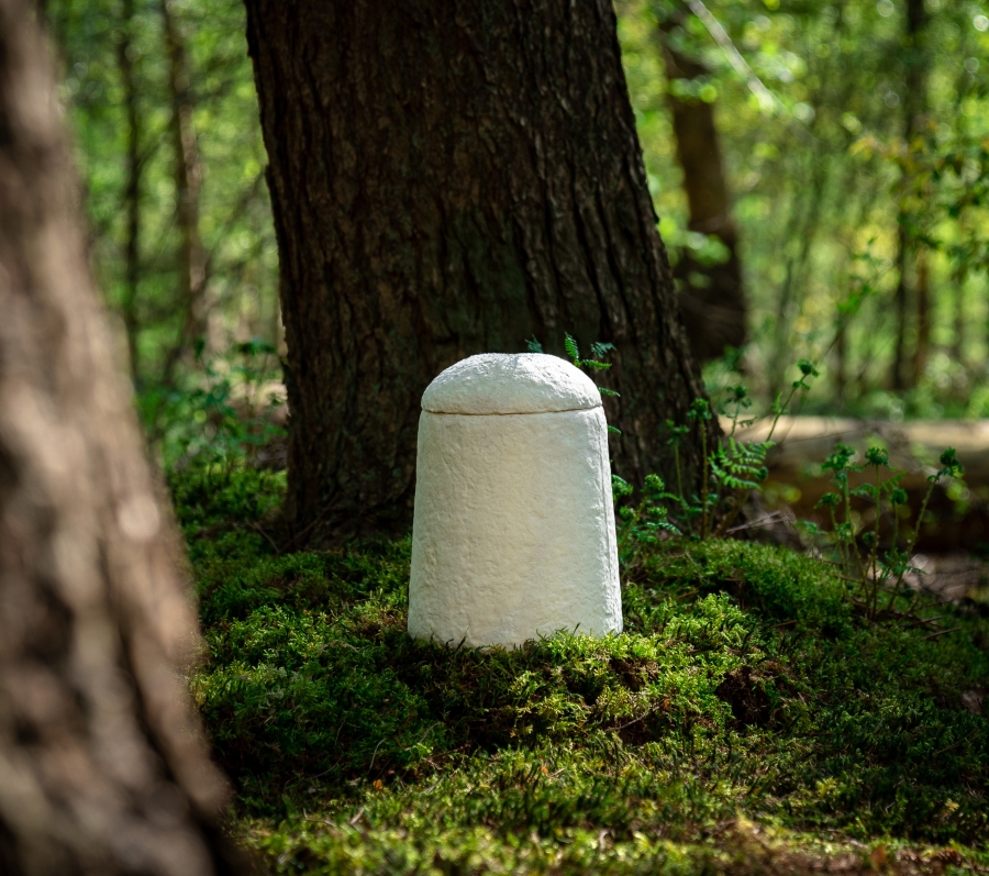 loop cocoon urn in the forest