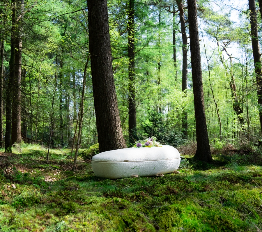 cocoon casket in the forest