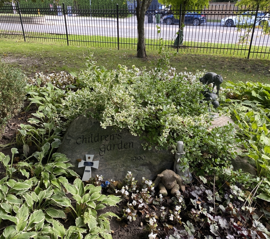 boulder with trees and shrubs