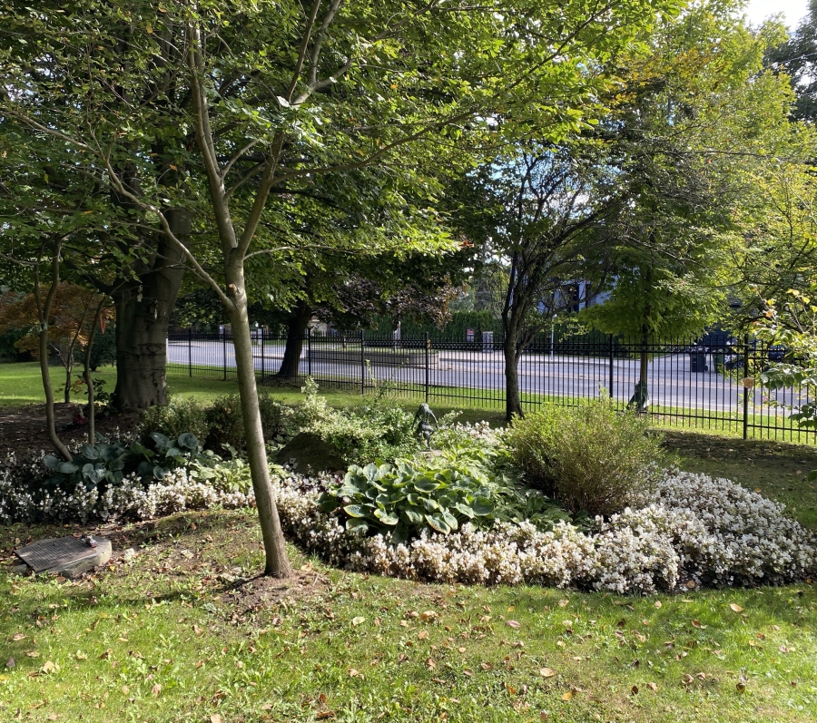 area with rocks and trees