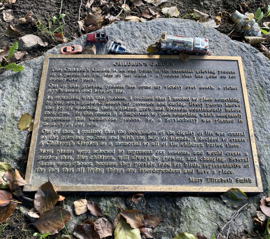plaque on rock