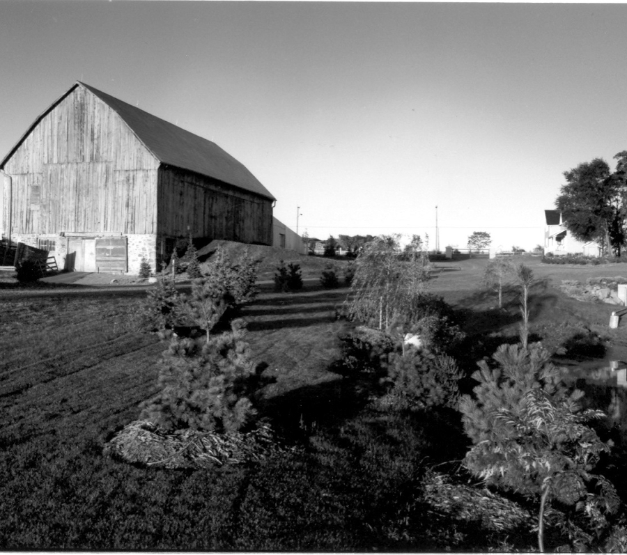 barn in black and white