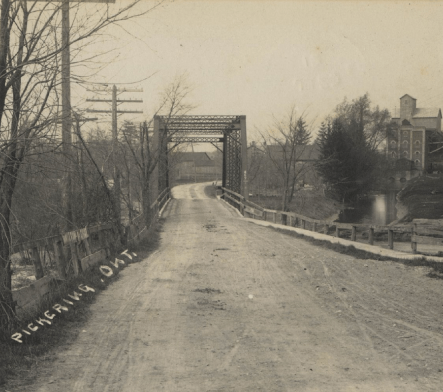 bridge and tree with no leaves