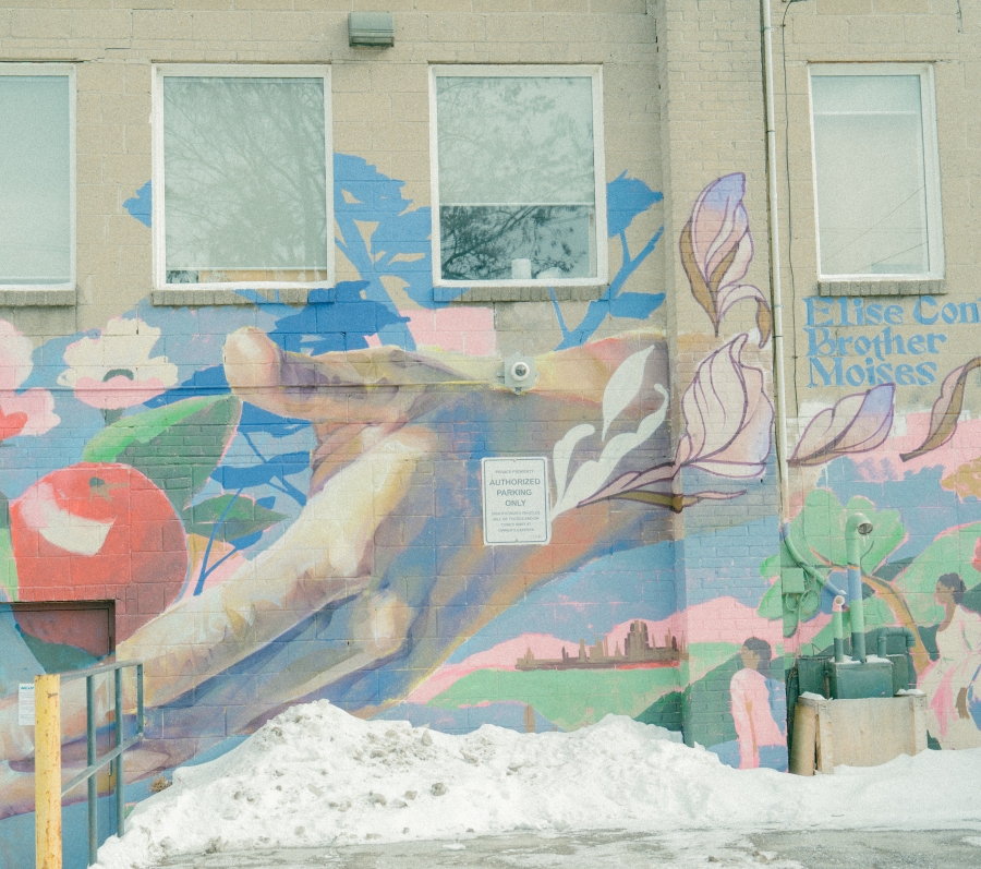 Outdoor mural painted on the side of a building, featuring a large hand extending across a floral landscape with leaves and abstract figures. Snow lines the base of the wall, and the mural includes the text “Elise Continuum: Further Noises.”