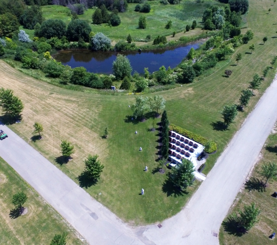 Arial view of Elgin Mills Cemetery with pond