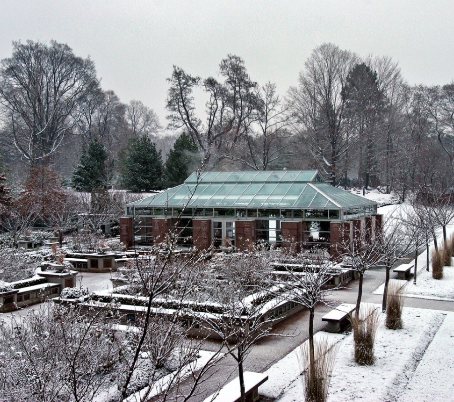 Snow-covered garden with pathways and a low glass building surrounded by trees.