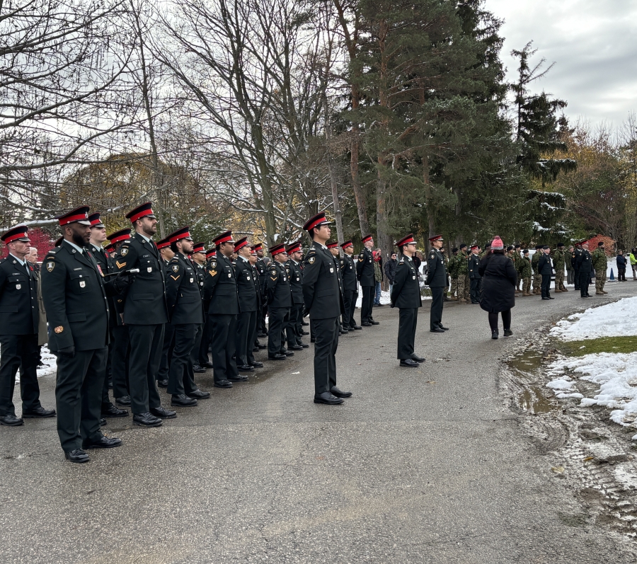 soldiers standing on guard