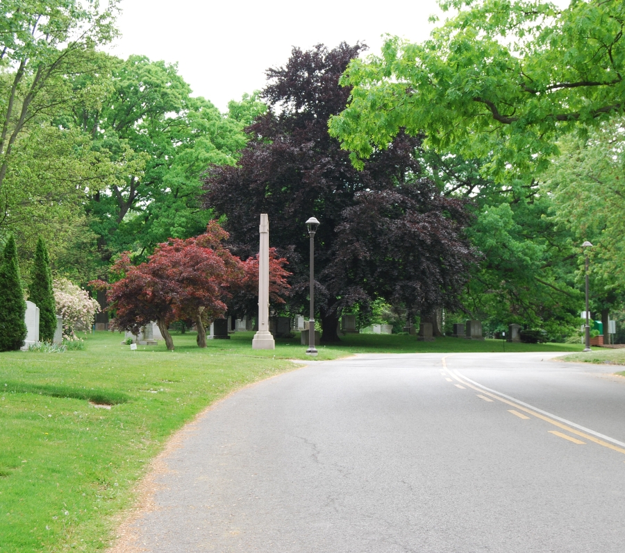 lots of trees, pavement and a narrow obelisk