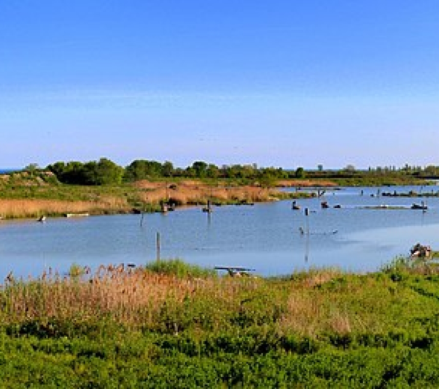 panoramic scene of a park with blue sky