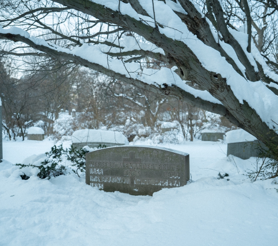 Snow‑covered cemetery landscape with a low, curved stone grave marker partially buried in snow beneath spreading tree branches. Additional headstones and leafless trees are visible in the background, creating a quiet winter scene.