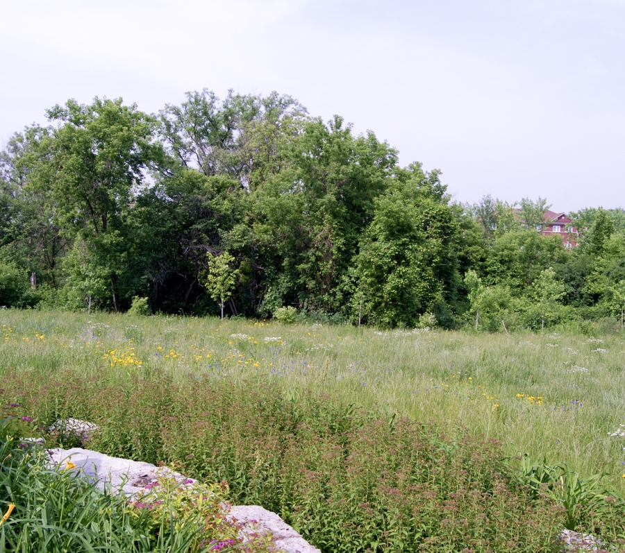 Meadowvale Natural burial area