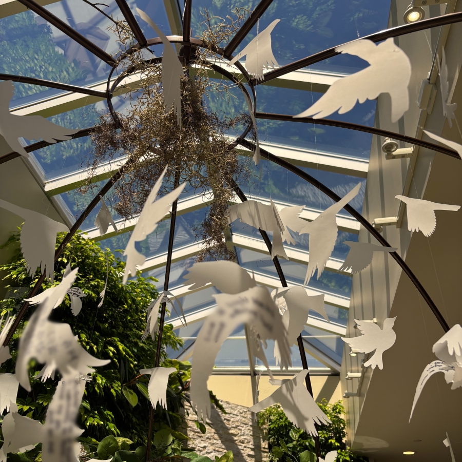 White bird cutouts hanging beneath a glass ceiling