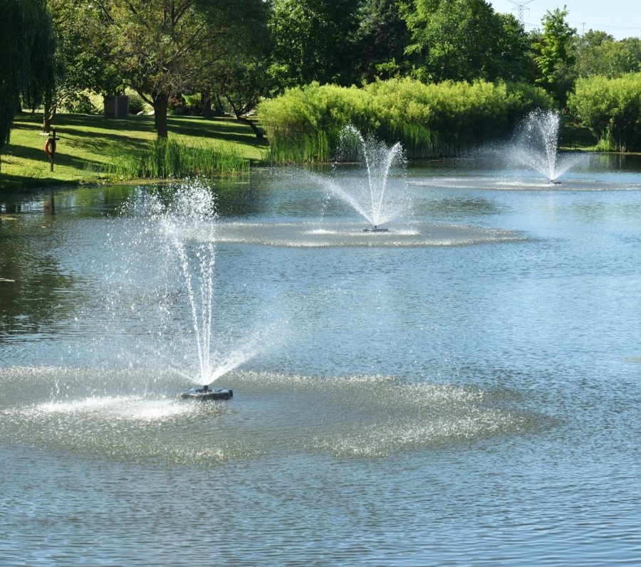 Pond at Meadowvale Cemetery