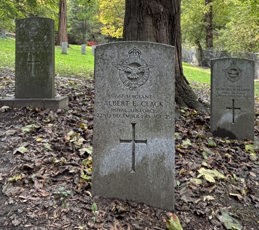 stone graves surrounded by trees