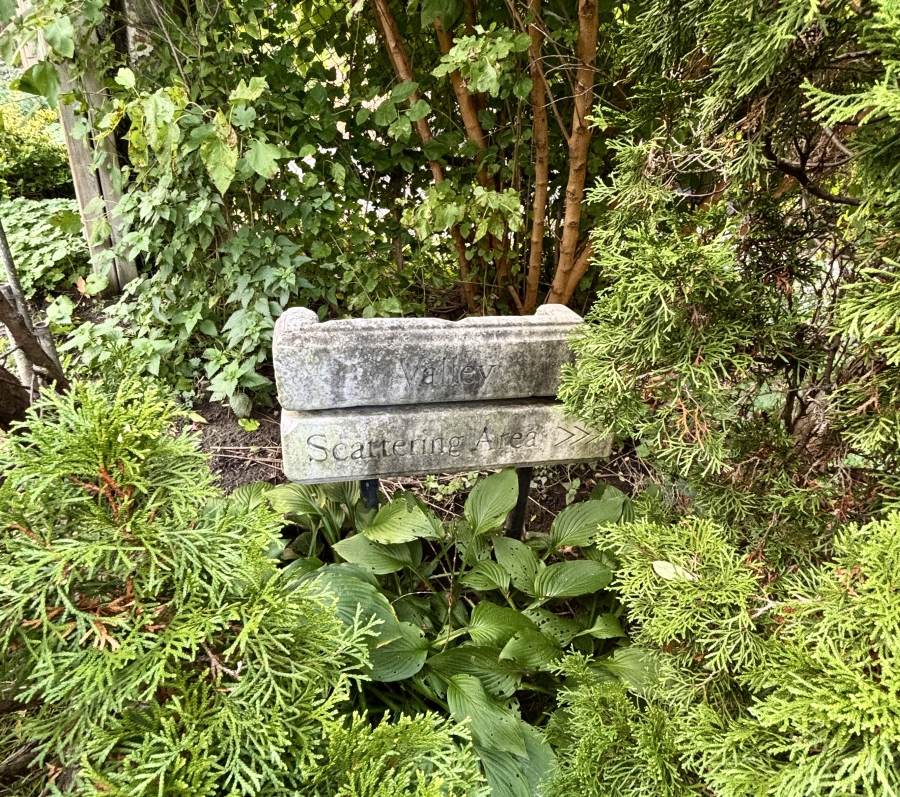 stone graves surrounded by trees