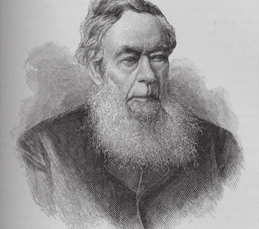 portrait of a man with a long grey beard