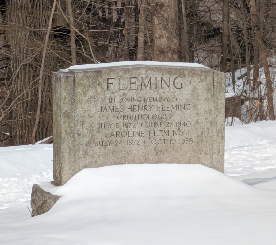 headstone covered in snow