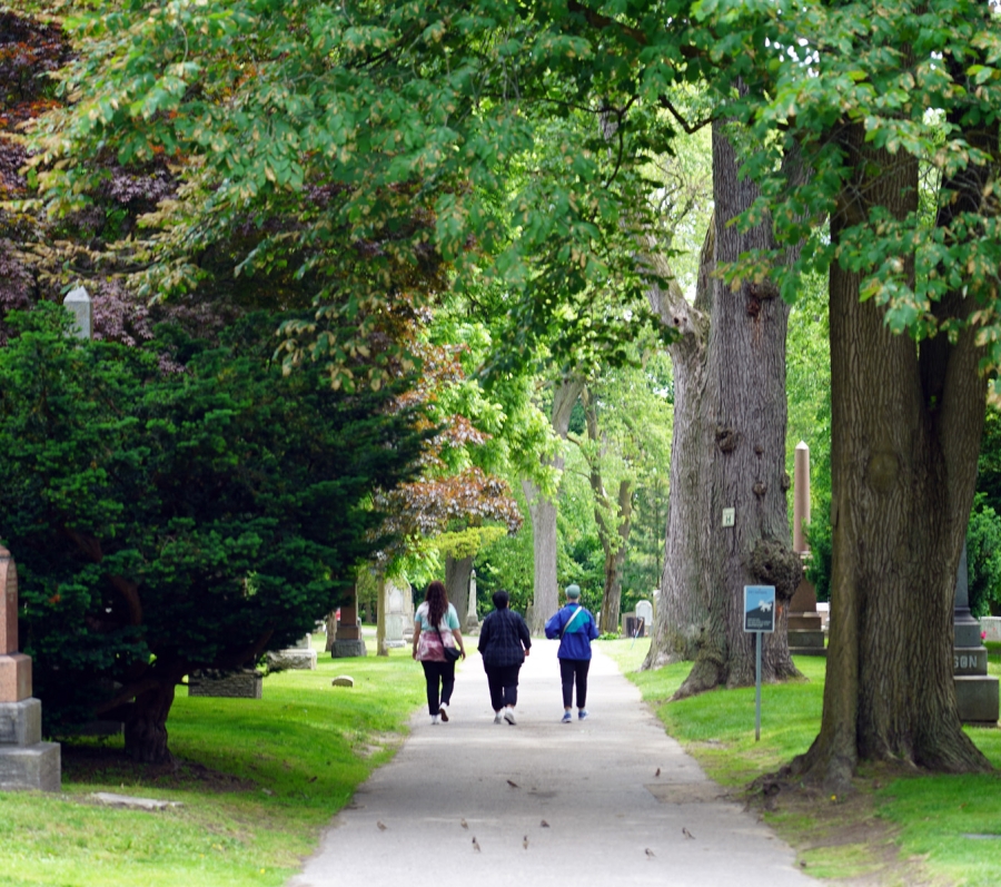 people walking in Toronto Necropolis