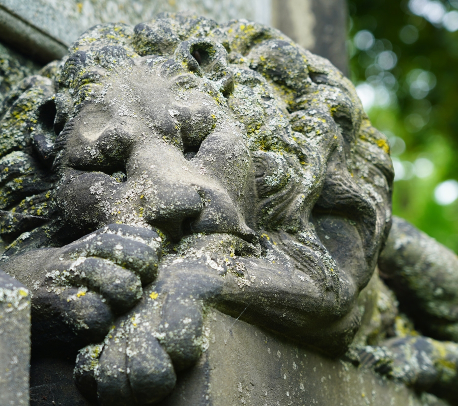 lion statue at Toronto Necropolis