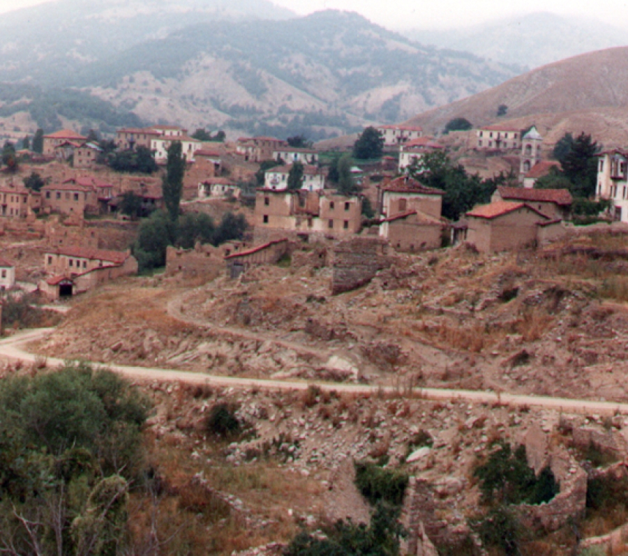 houses and trees with brown grass