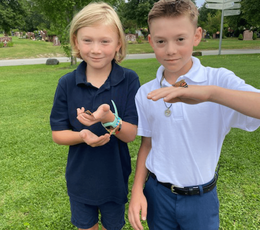 two young boys holding butterflies