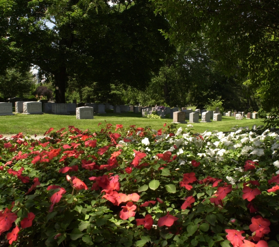 flowers and graves at Prospect Cemetery
