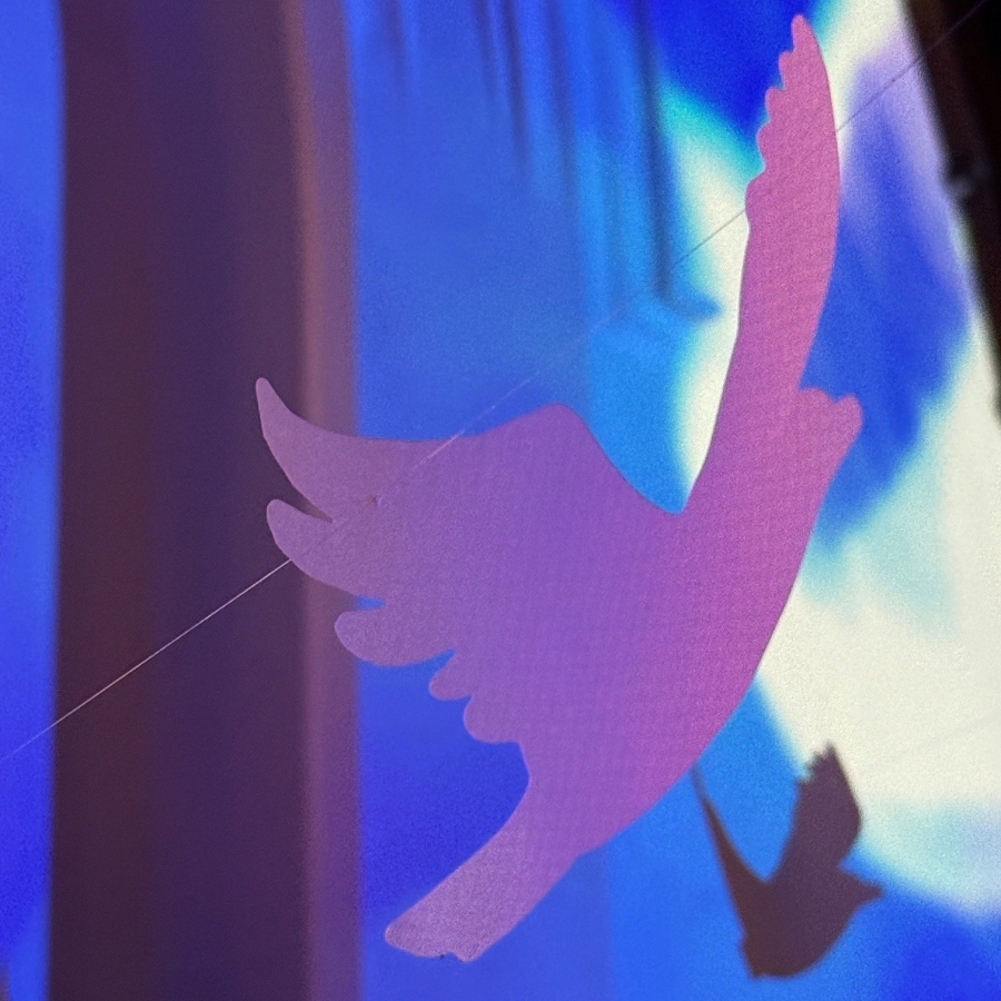 Silhouetted dove against blue and purple light reflections