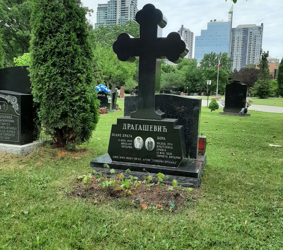 gravestone surrounded by trees