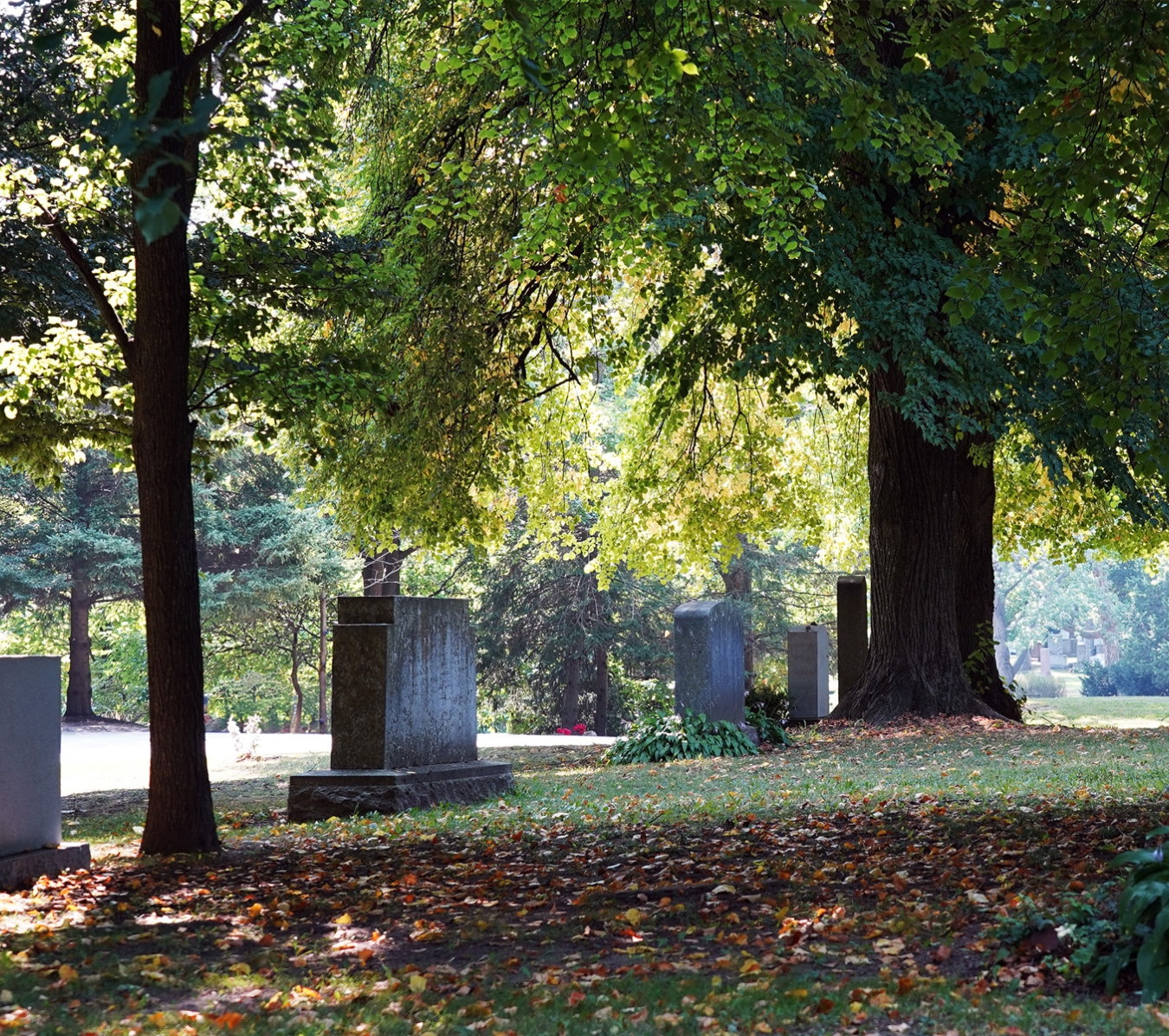 Peaceful view of Mount Pleasant Cemetery