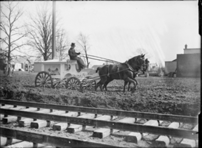 Horse‑drawn hearse traveling through a cemetery.
