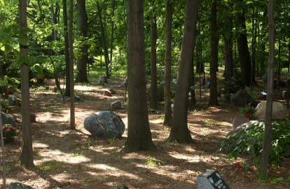 boulders in the forest