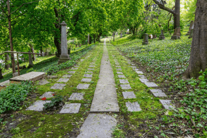 stone pathway in green cemetery