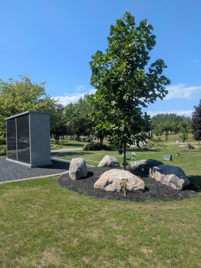 tree and stones and a pet memorial