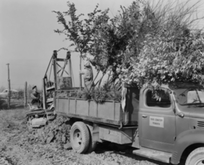 Black‑and‑white image of a truck loaded with trees and workers on site.