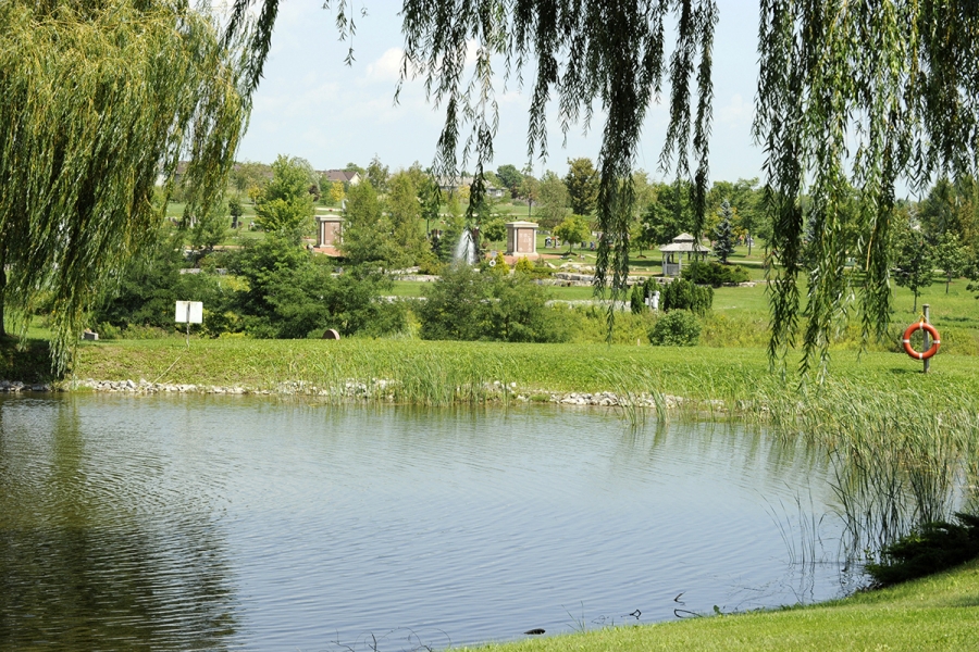 pond with trees surrounding it