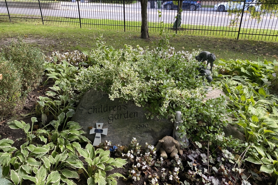 boulder with trees and shrubs