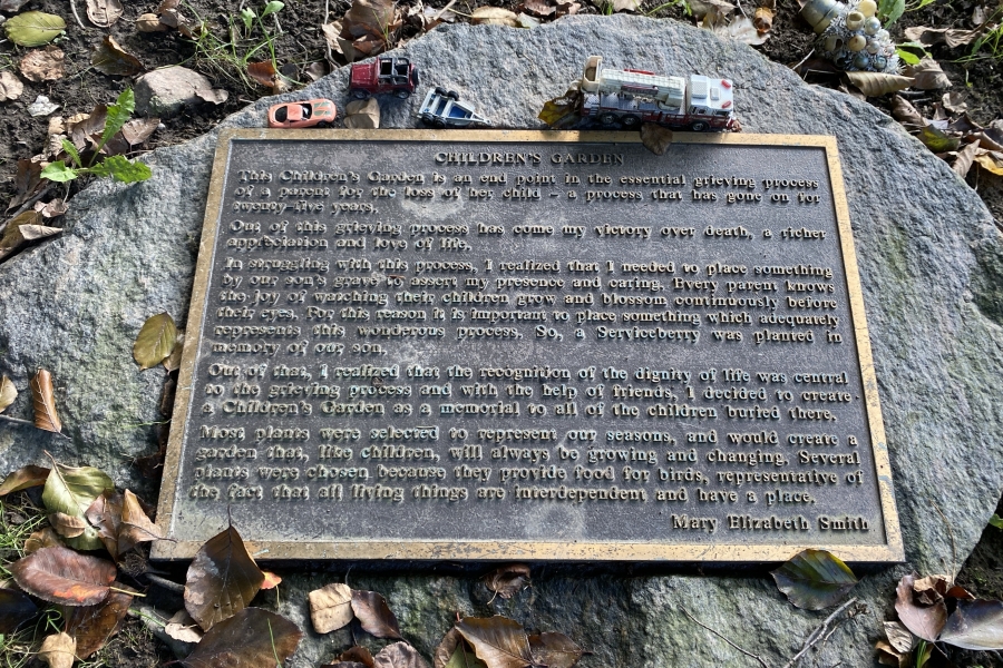 plaque on rock