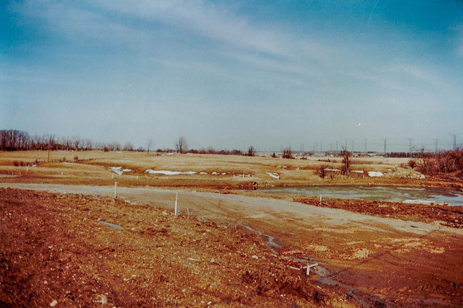 barren field