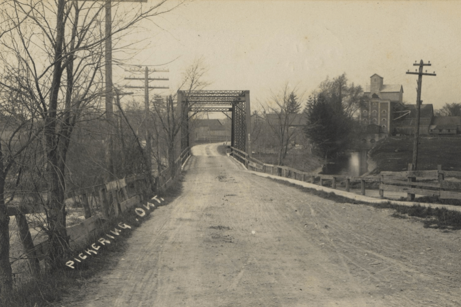 bridge and tree with no leaves