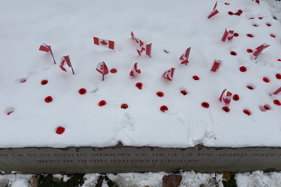 flags in the snow