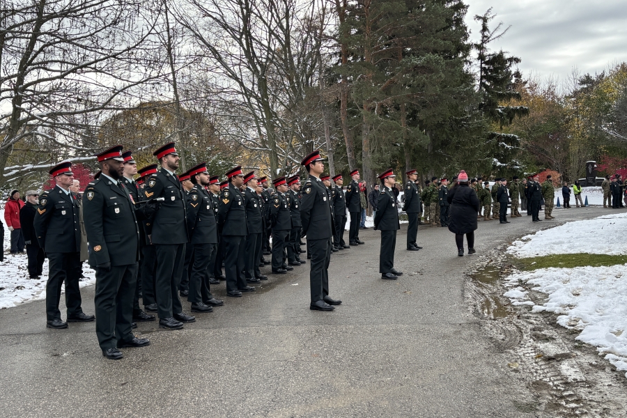 soldiers standing on guard