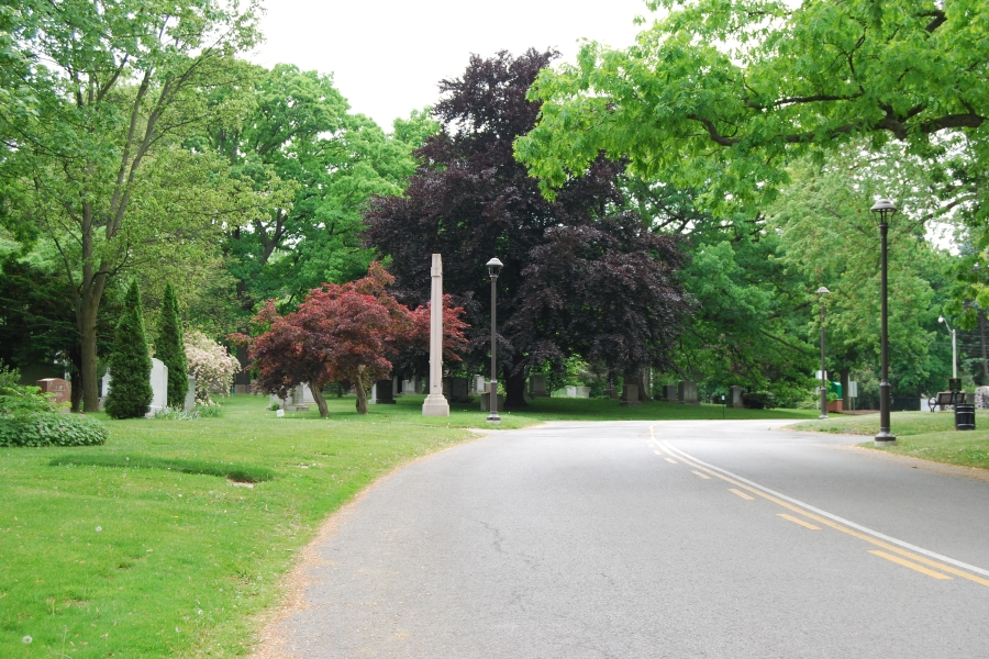 lots of trees, pavement and a narrow obelisk