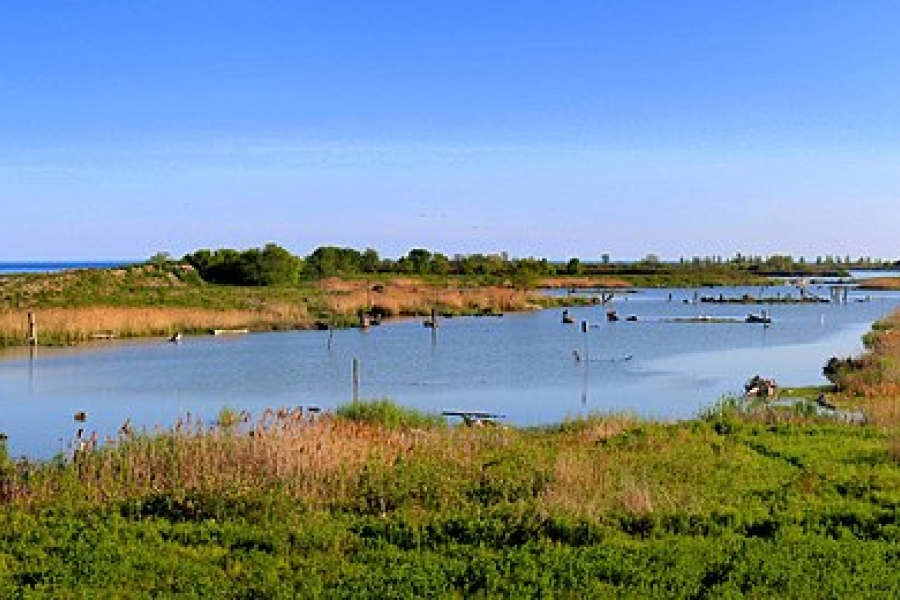 panoramic scene of a park with blue sky