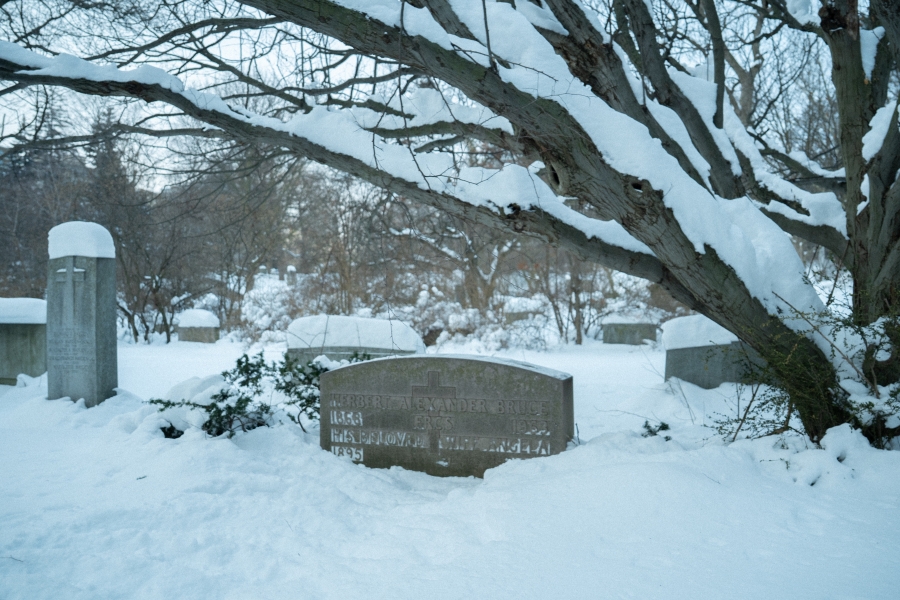 Snow‑covered cemetery landscape with a low, curved stone grave marker partially buried in snow beneath spreading tree branches. Additional headstones and leafless trees are visible in the background, creating a quiet winter scene.